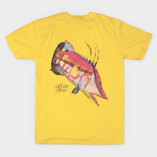 Hogfish T-Shirt